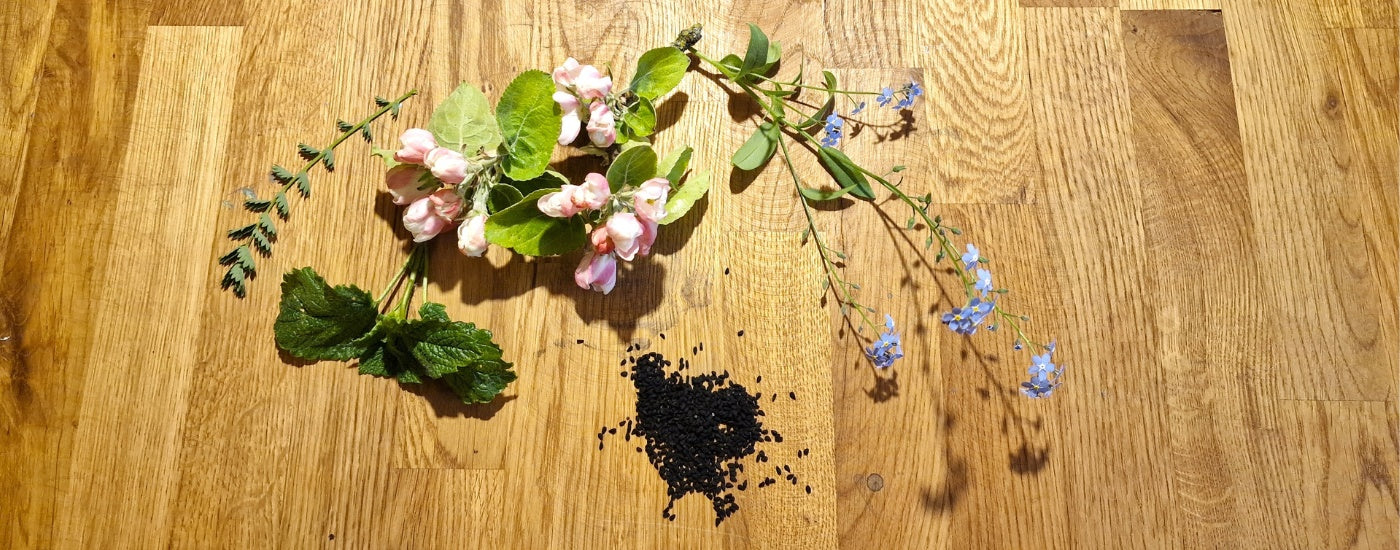 Aromen und ätherische Öle in Speiseölen verstehen – Was riecht und schmeckt wirklich im Öl?