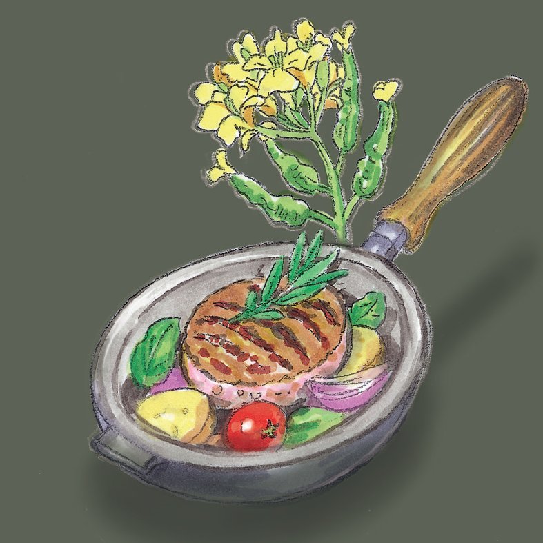 Illustration zum Bio Bratöl der Ölmühle Garting mit gebratenem Fleisch, Gemüse und gelb blühender Rapspflanze