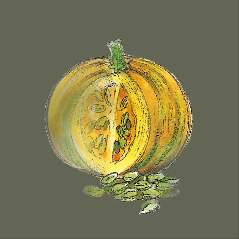 Illustration eines aufgeschnittenen Kürbisses mit grünen Kürbiskernen