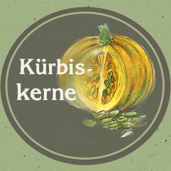 Illustration eines aufgeschnittenen Kürbisses mit Kürbiskernen und der Aufschrift „Kürbiskerne“