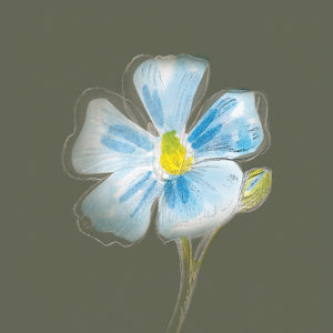 Stilisierte blaue Leinblüte auf dem Produktetikett der Leinsamen Braun der Ölmühle Garting.