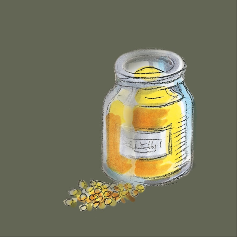 Illustration eines Glases mit gelbem Senfmehl und davorliegenden Senfkörnern